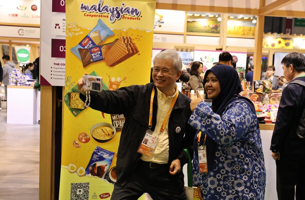 第八届进博会丨特稿：书写计利天下的进博故事