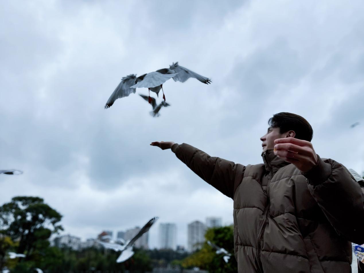 以脚步丈量,用镜头传播:他们成为和美云南“海外代言人”