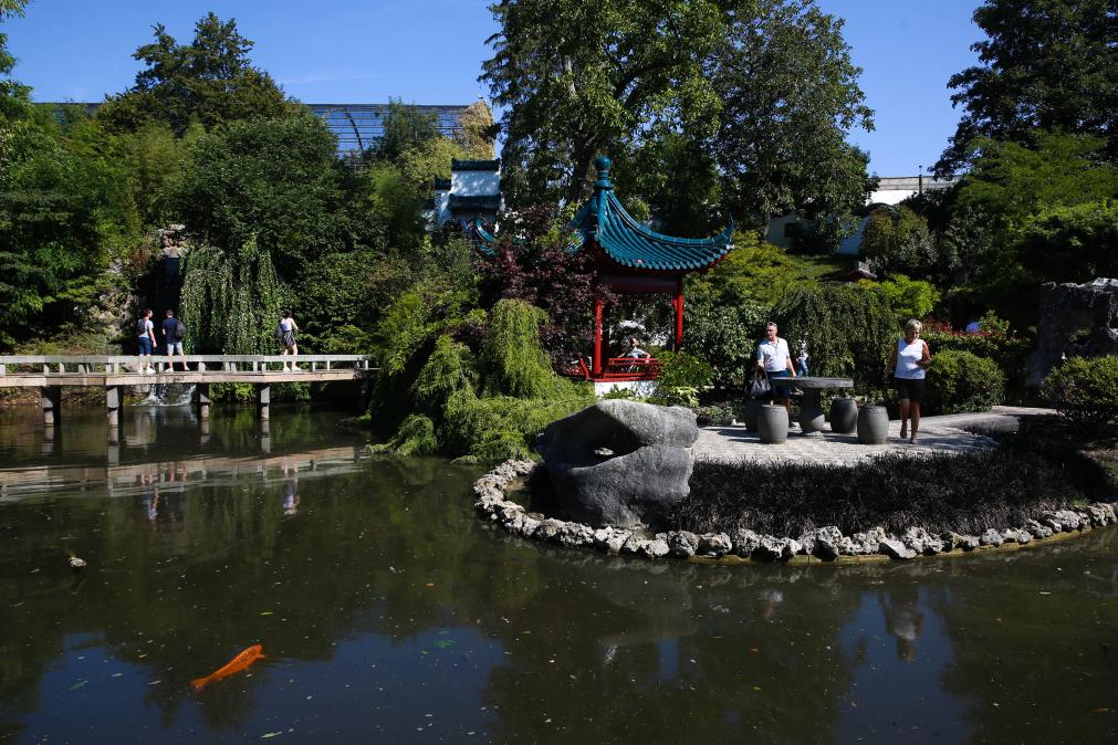 旅比大熊猫“守护者”埃里克·董博:打开感知中国之门