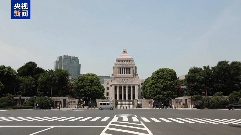 视频丨日本律师:日本政府扩军举动违背宪法