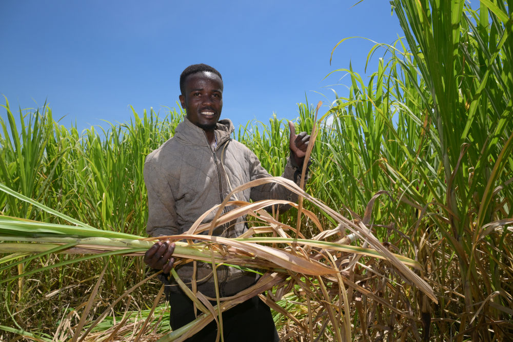 年终特稿｜世界舞台上的中国定力、魄力与担当