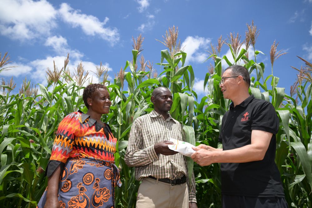 在津巴布韦，有一个中津农业合作示范村