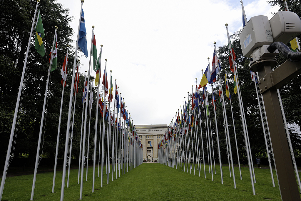 联合国创新协作平台专家：中国绿色探索为全球转型提供借鉴