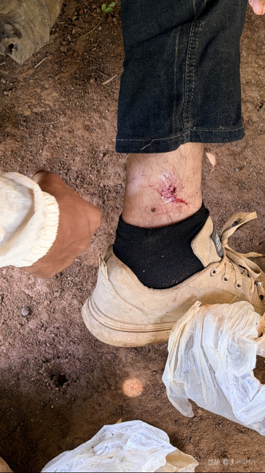 新春走基层丨我带着中国技术在斯里兰卡种红茶 新春走基层丨我带着中国技术在斯里兰卡种红茶