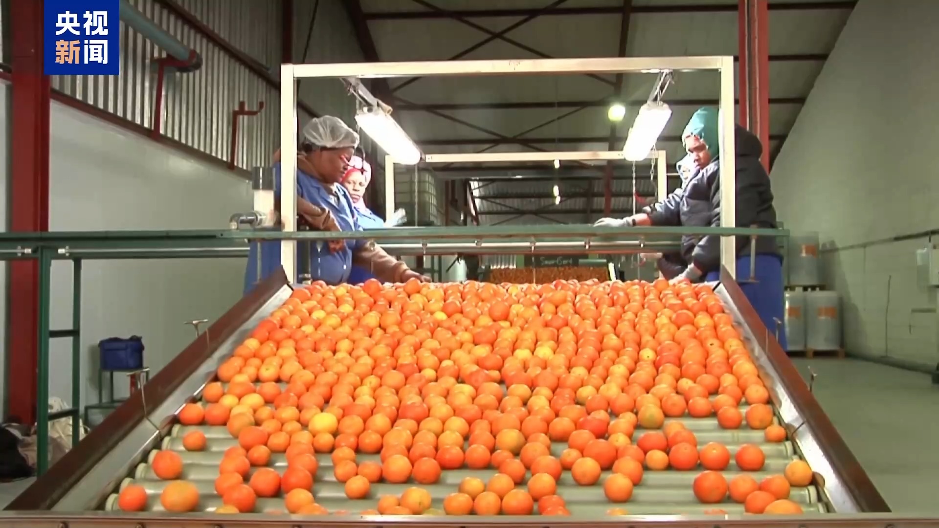 非洲学者：中国零关税举措为非洲创造发展机会