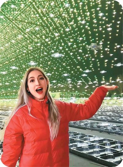 光影织就中国浪漫(“洋网红”探店中国好物)