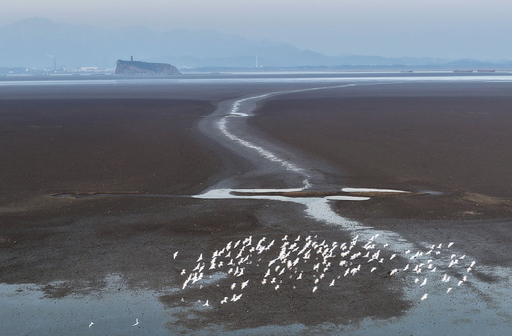 中非“双湖记”：鄱阳湖与维多利亚湖生态共治影像志