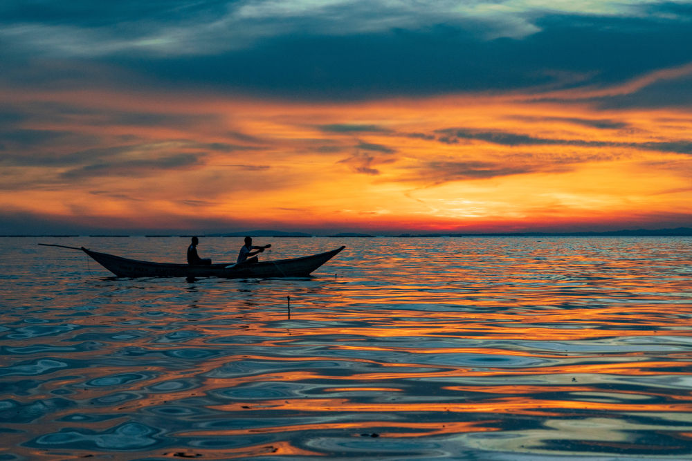 中非“双湖记”：鄱阳湖与维多利亚湖生态共治影像志