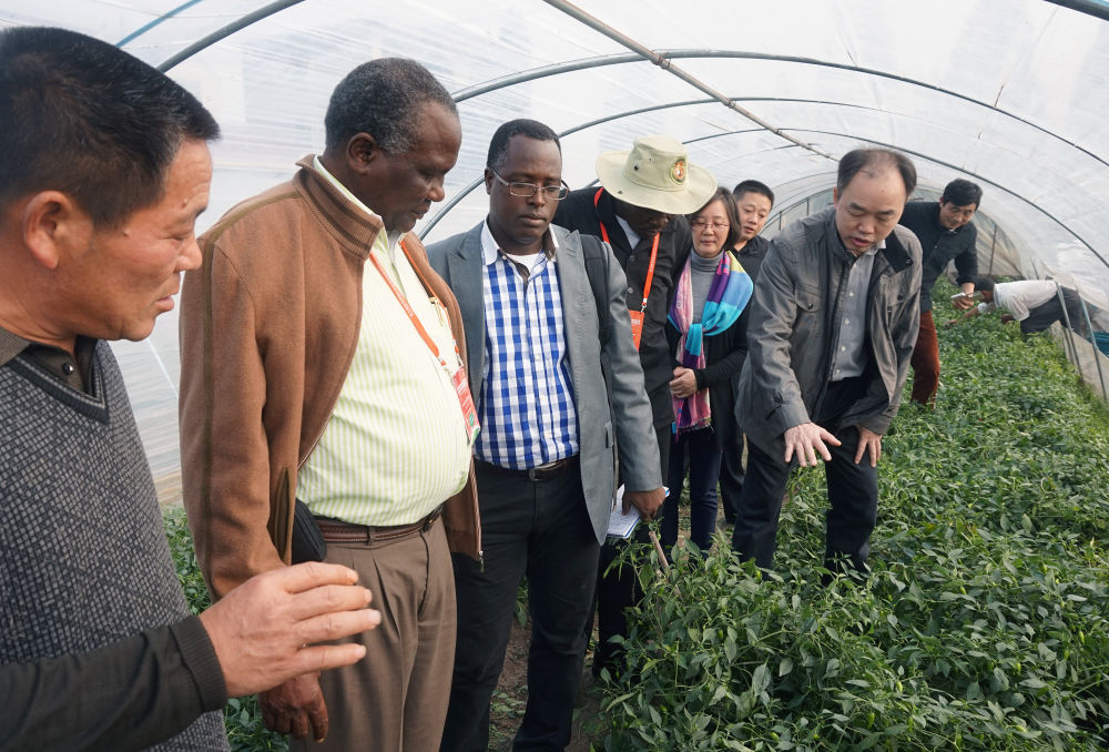 中非“双湖记”：鄱阳湖与维多利亚湖生态共治影像志