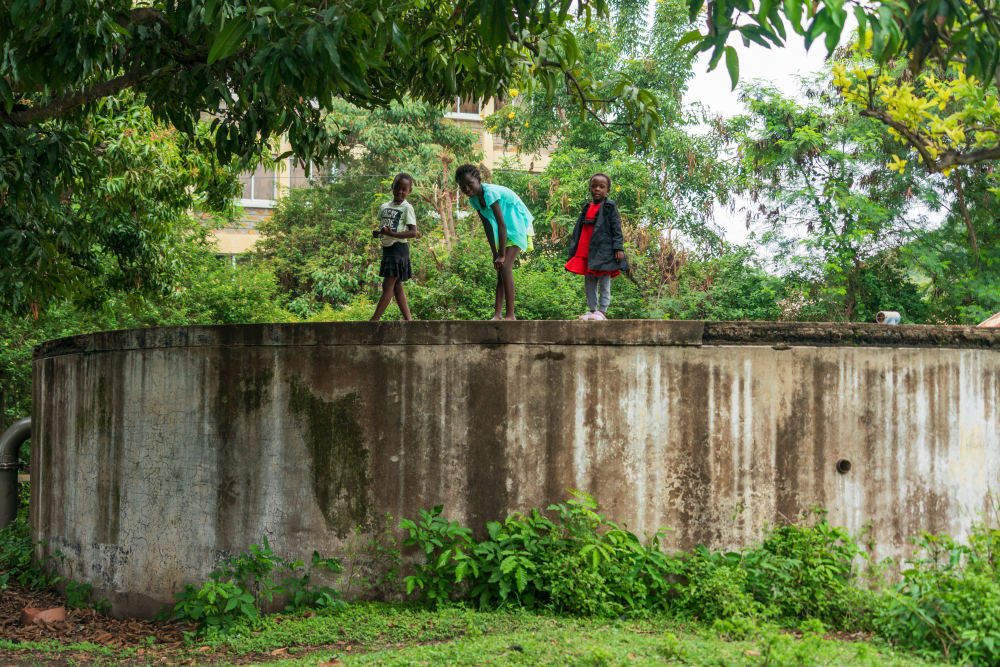 中非“双湖记”：鄱阳湖与维多利亚湖生态共治影像志