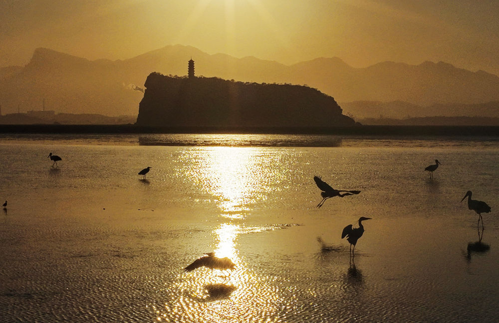 中非“双湖记”：鄱阳湖与维多利亚湖生态共治影像志