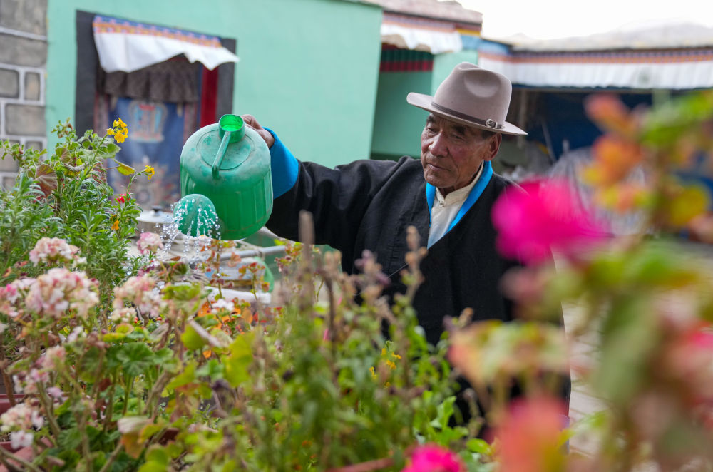 参考消息特稿|西方学者笔下的旧西藏“换了人间”