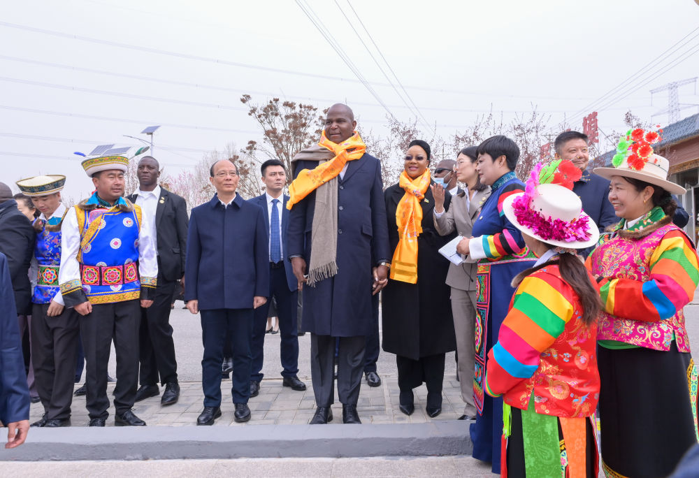 特写：莫桑比克总统探访青海乡村