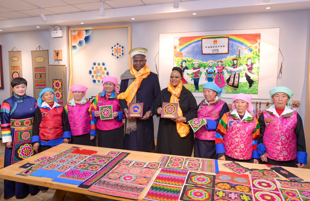 特写：莫桑比克总统探访青海乡村