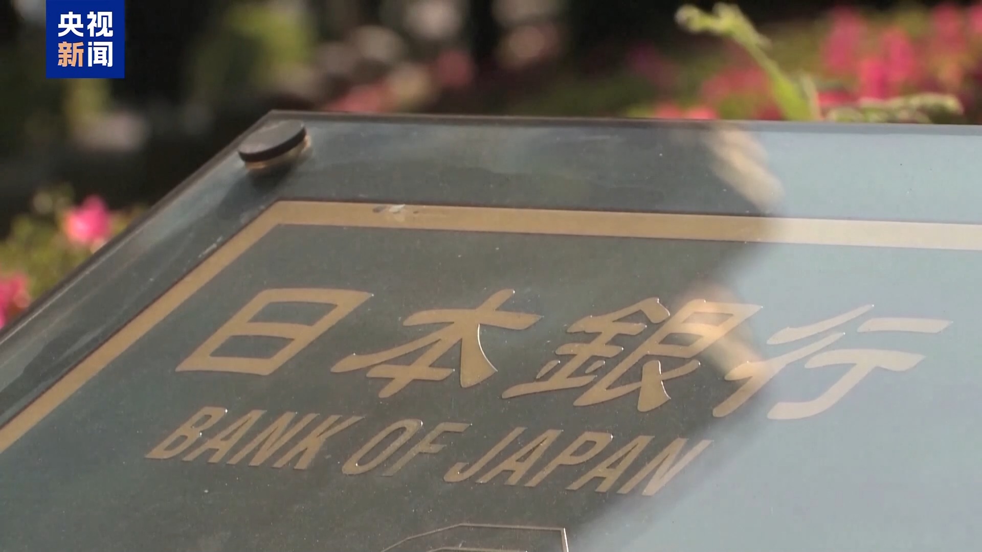 不顾经济民生 高市政府执意推进扩武路线意欲何为?