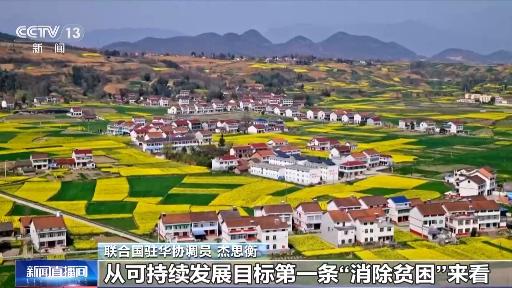 视频丨联合国驻华协调员:应对全球挑战 离不开中国参与和发声
