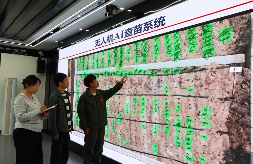 2026夏季达沃斯论坛观察