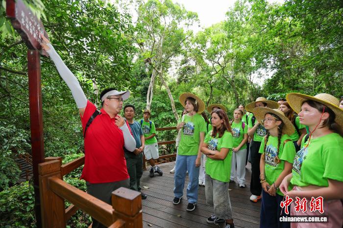 雨林为幕，歌声为桥：中意青少年相约五指山“通过音乐交到新朋友”