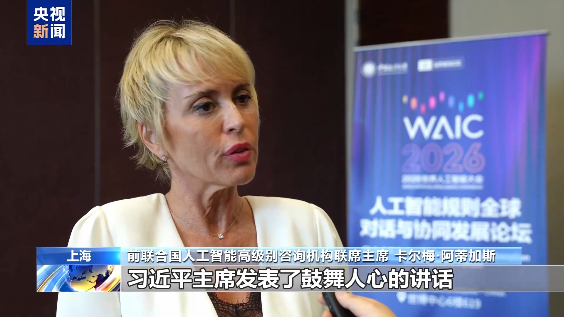 国际人士:中国人工智能引领全球治理 赋能产业未来