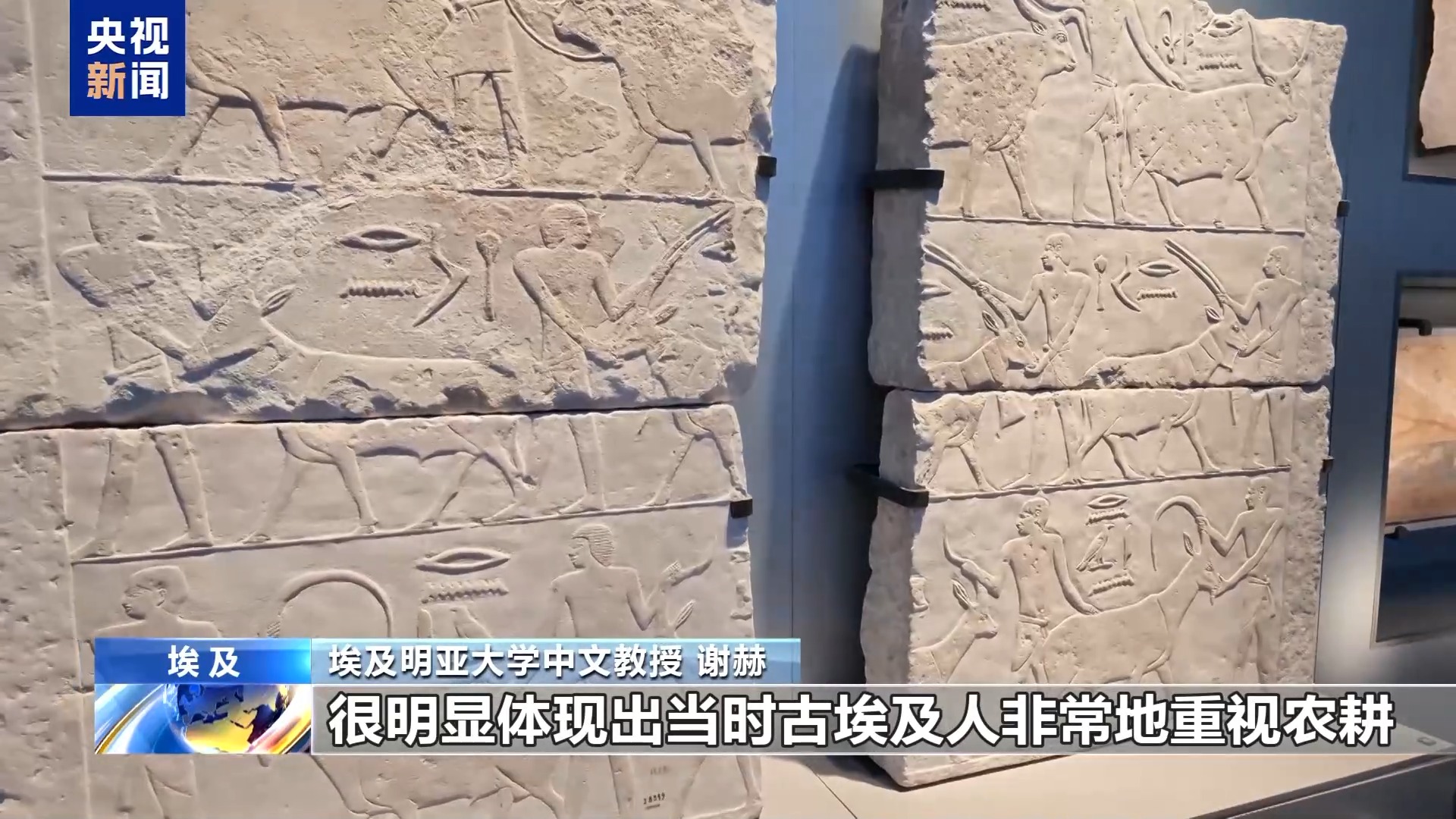 视频丨跨越时空的默契 在大埃及博物馆探寻中埃文明共鸣