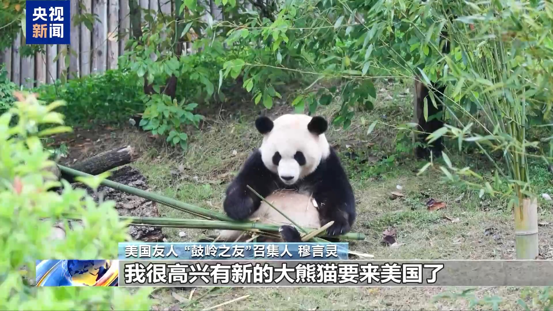 视频丨“鼓岭之友”召集人:期待中美青年继续友好交流 促进理解