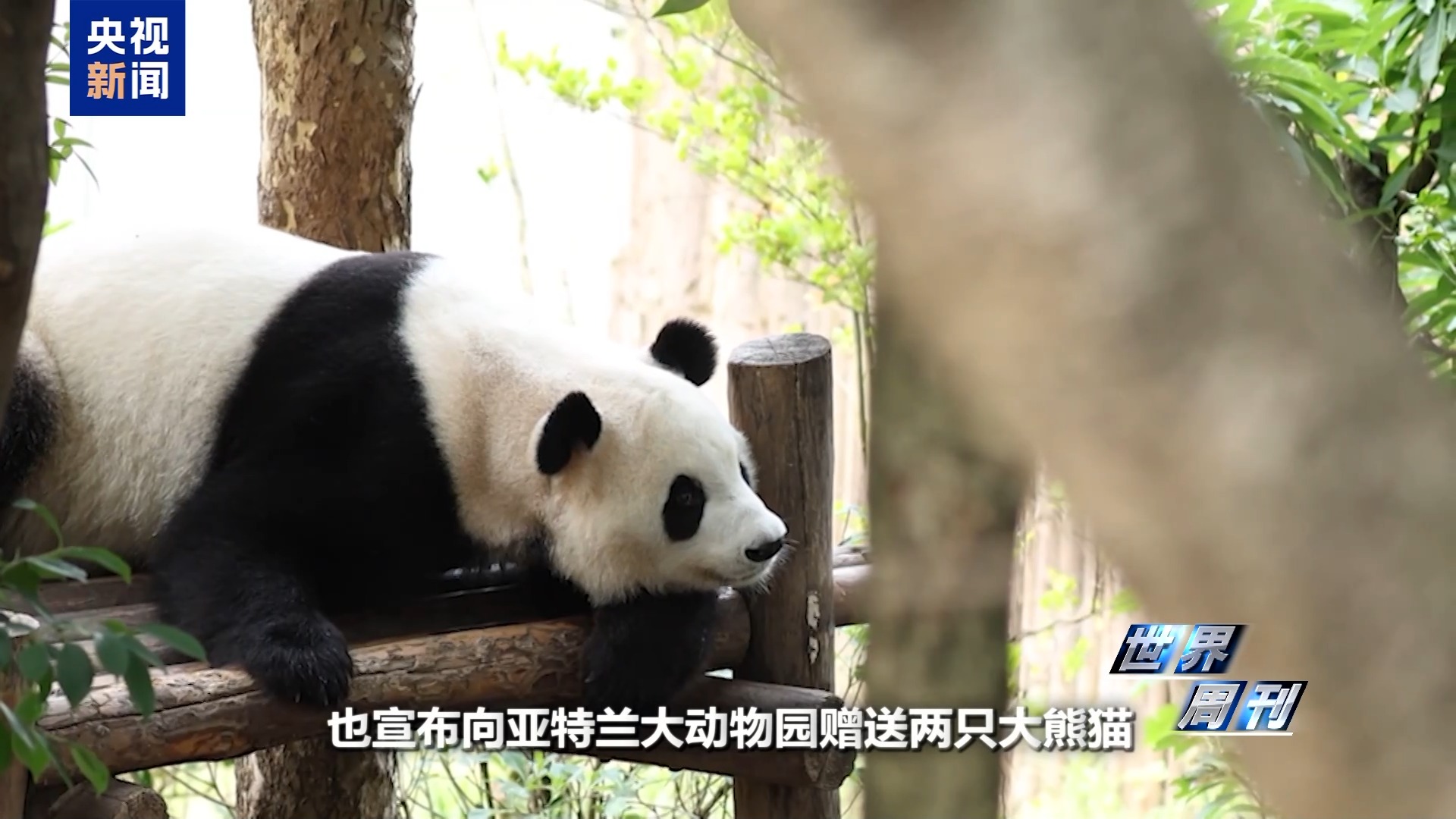 世界周刊丨中美“稳定”之道