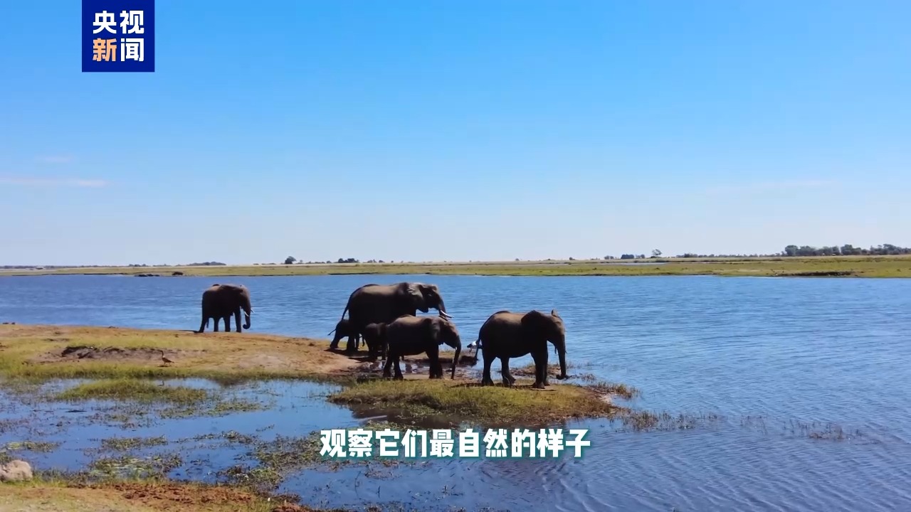 记者Vlog丨从自然奇观到文化交流 中国和博茨瓦纳的故事正在继续