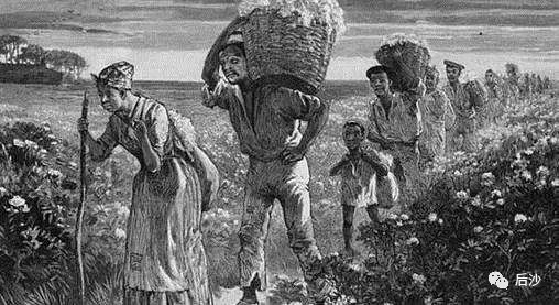 说到棉花，没有谁比美国更懂“强迫劳动”了