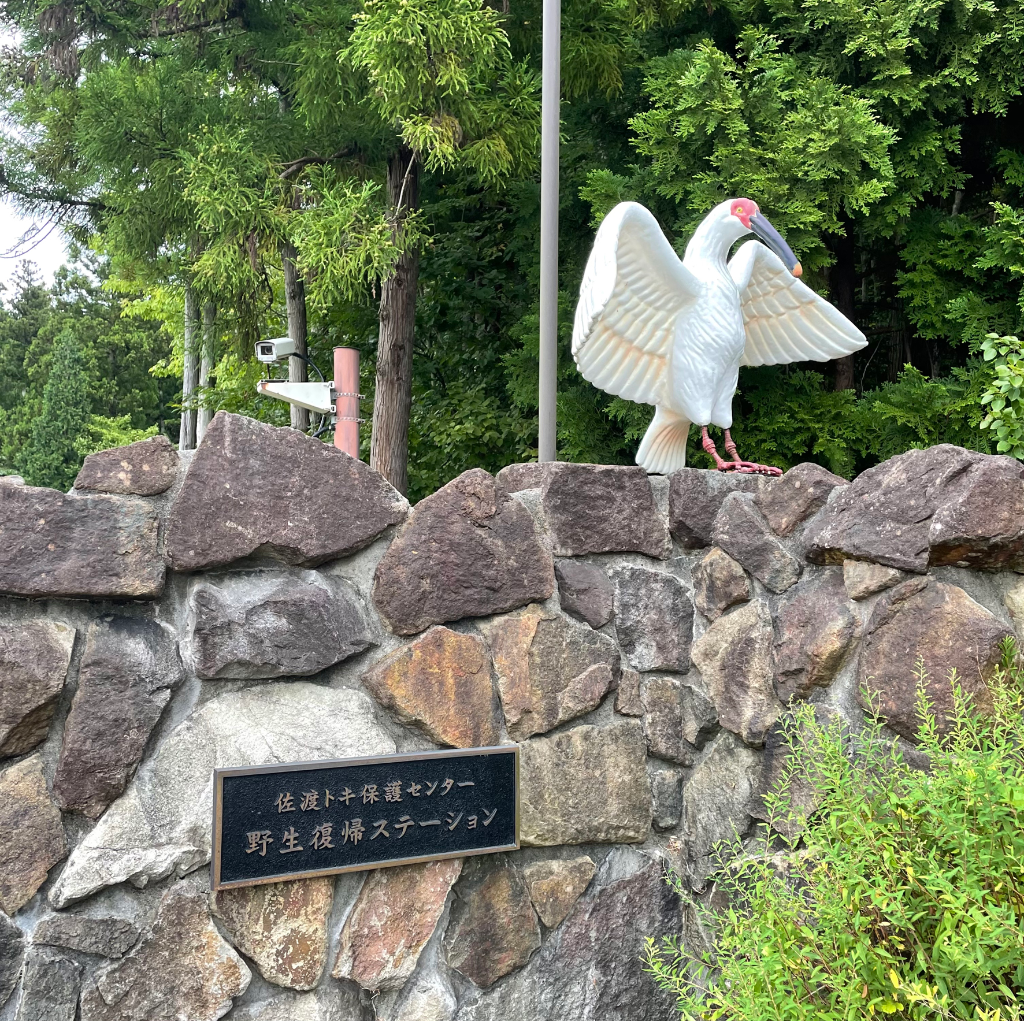 构建人类命运共同体·全球回响｜人类命运共同体理念“契合时代、非常必要”——访日本前首相鸠山由纪夫