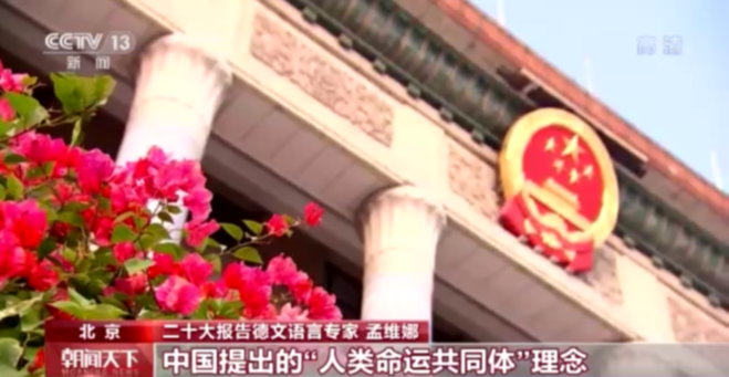 外籍专家眼中的二十大报告丨孟维娜：让世界看到一个更加开放自信的中国