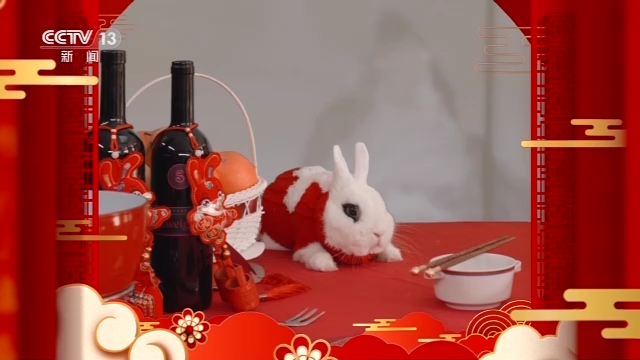 驻华使节贺新春·瑞士驻华大使丨新一年更多交流对话 促两国各领域合作