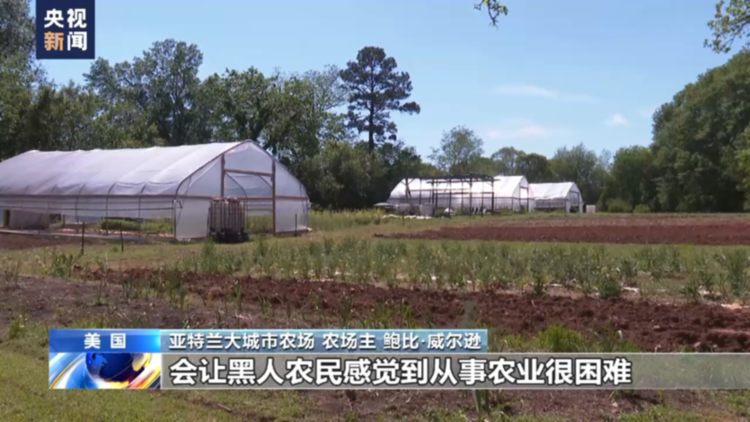 总台记者观察丨种族歧视——美国非洲裔农民过不去的坎