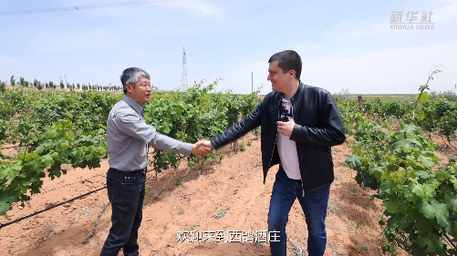 当法国小哥邂逅中国红酒——“洋记者”探访中国戈壁滩上建起的葡萄酒产区