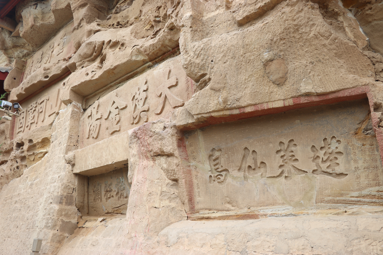 f44d30758a61261b7dca11.png