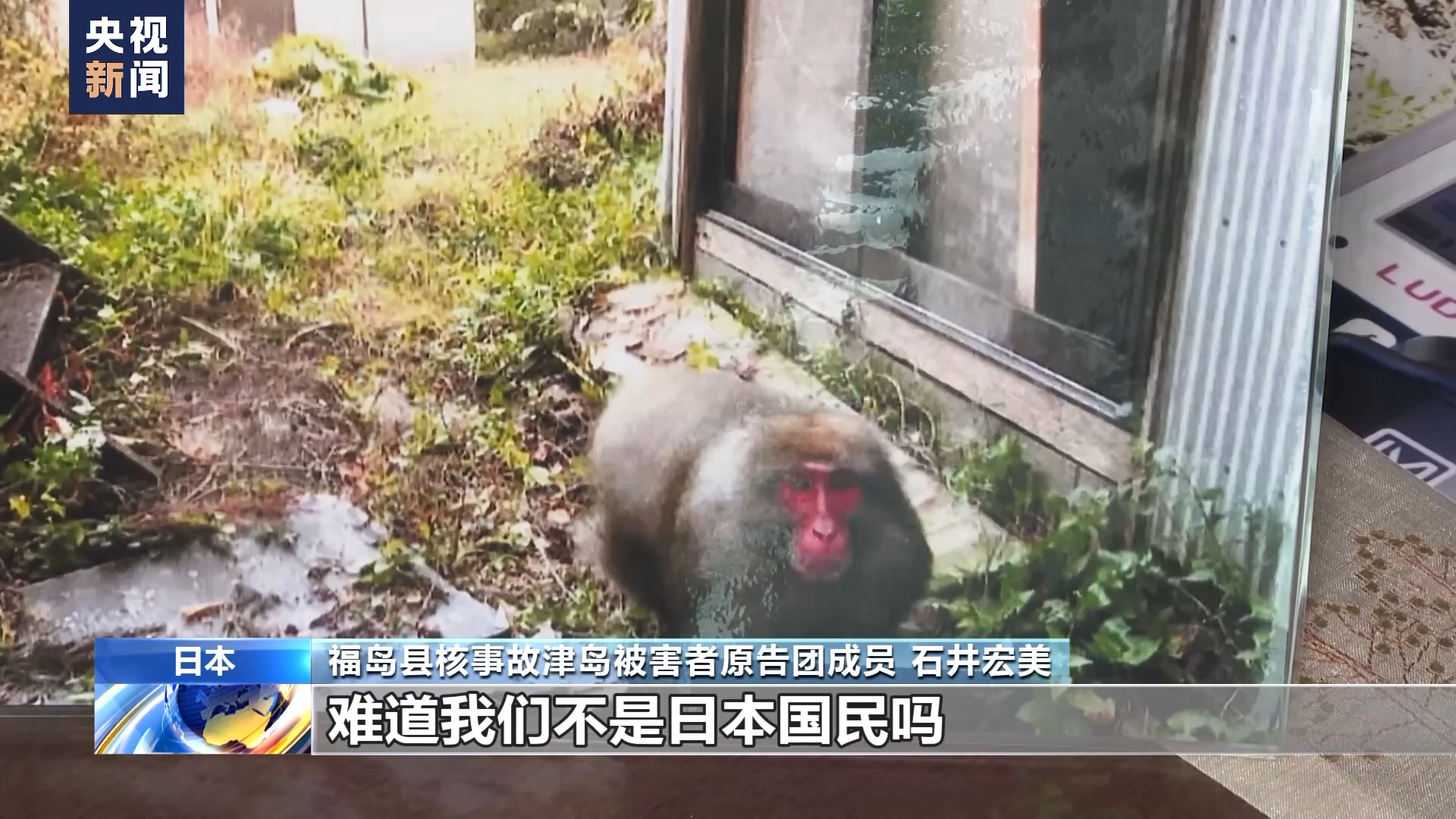 日本核事故灾民:核污染水排海决定让重返家园希望渺茫