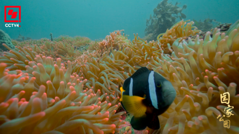 和最好的“合租室友”,共赴一场“爱的约定”