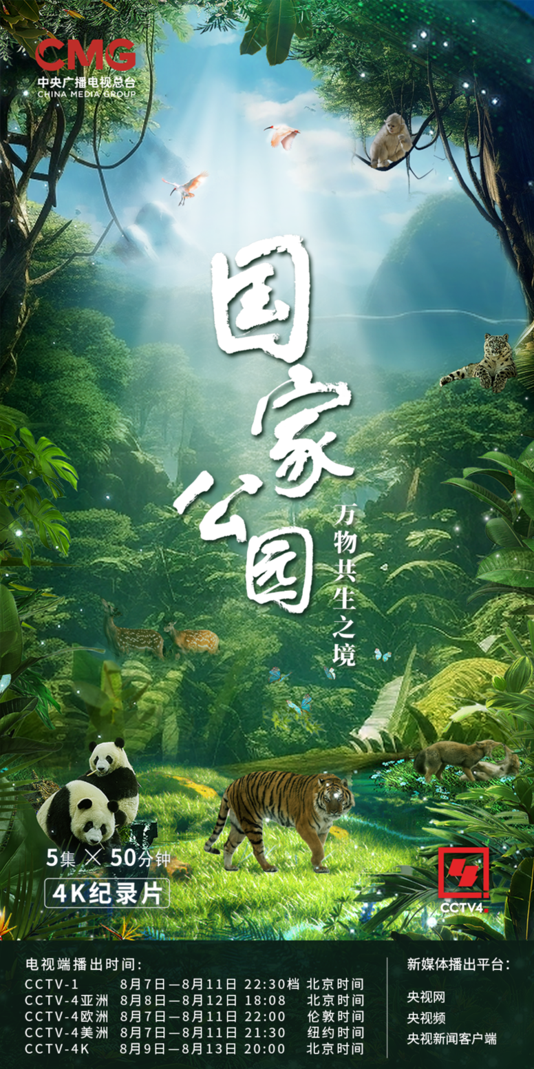 和最好的“合租室友”,共赴一场“爱的约定”