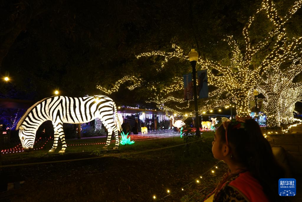 美国休斯敦动物园举办灯光秀