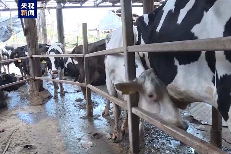 世卫组织专家称美禽流感疫情有外溢风险 世卫组织专家称美禽流感疫情有外溢风险