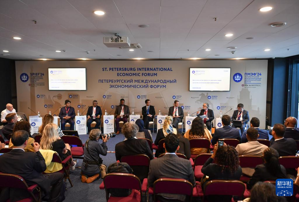 金砖国家专家论坛在圣彼得堡举行