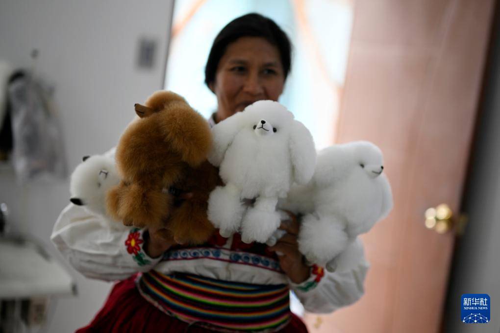 通讯：中国市场给秘鲁羊驼制品手工艺人带来更多发展机遇