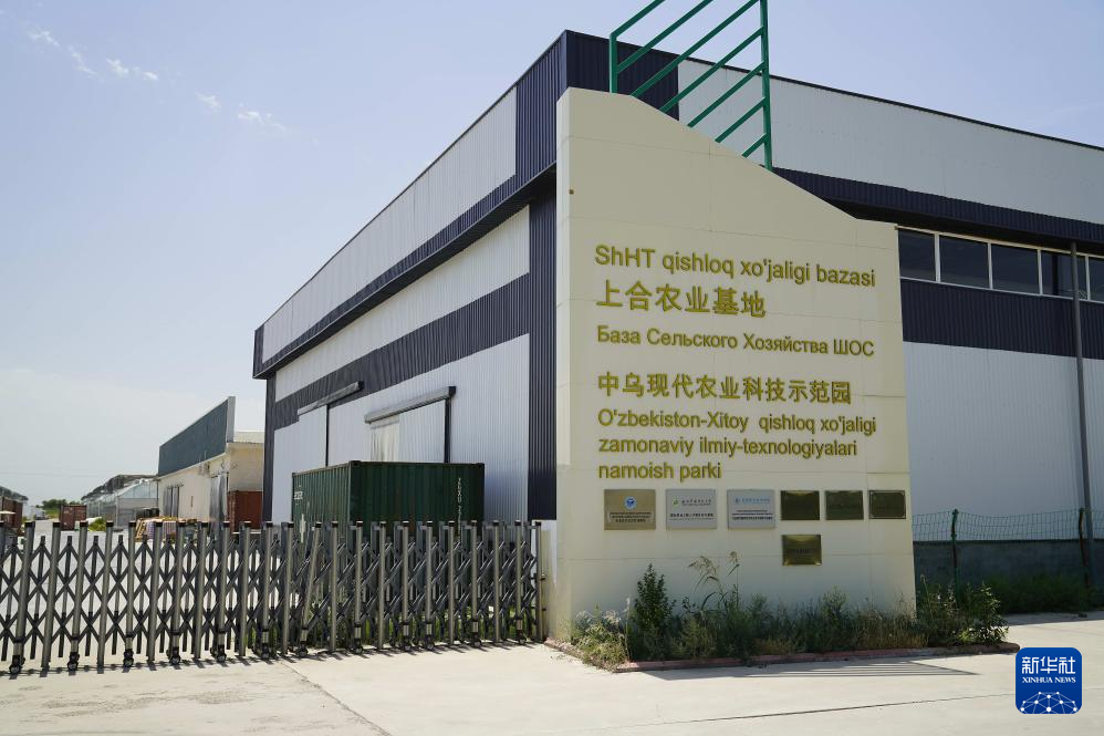 通讯｜务实耕耘 共同发展——探访乌兹别克斯坦上合组织农业基地中乌现代农业科技示范园