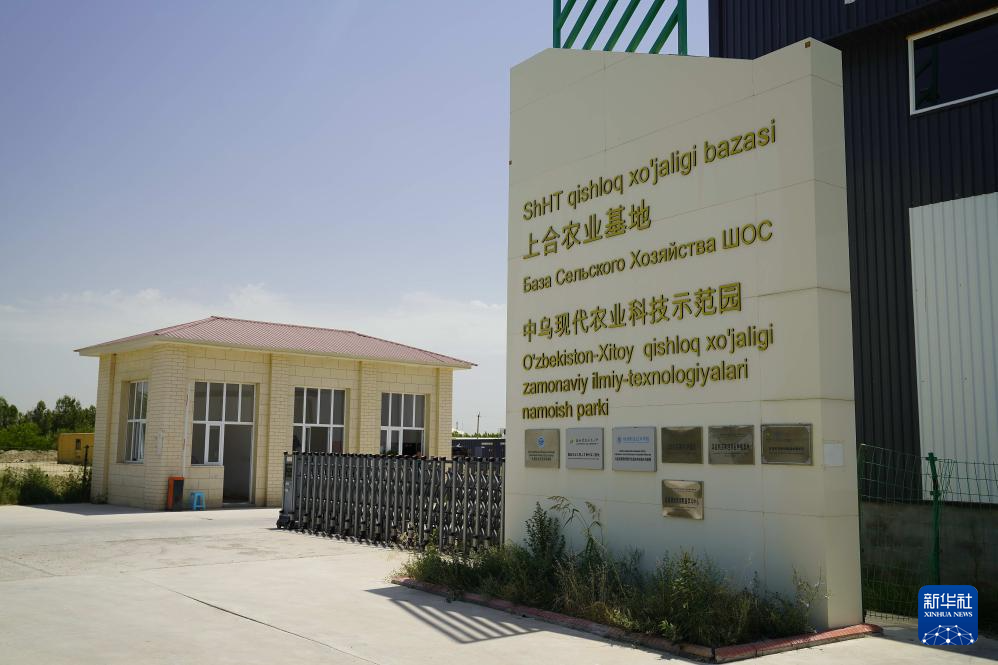 通讯｜务实耕耘 共同发展——探访乌兹别克斯坦上合组织农业基地中乌现代农业科技示范园