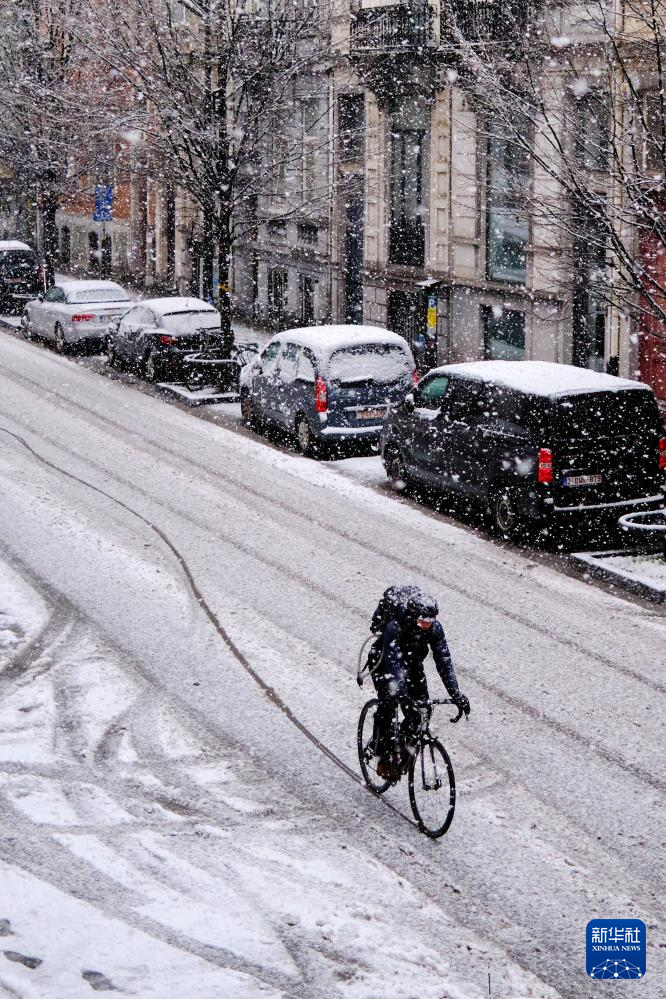 比利时布鲁塞尔迎来降雪