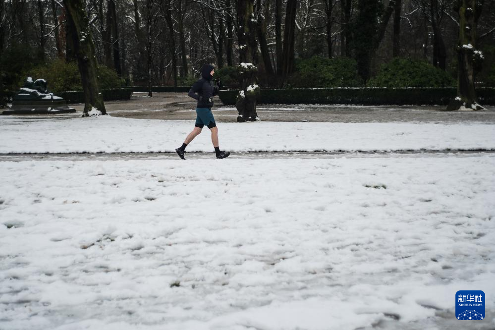 比利时布鲁塞尔迎来降雪