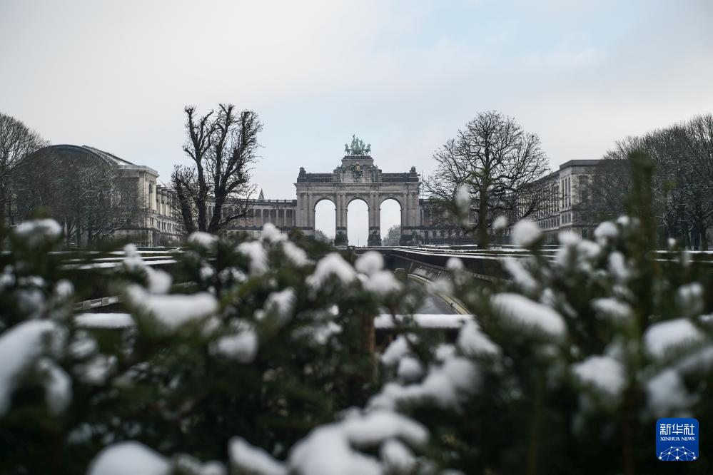 比利时布鲁塞尔迎来降雪