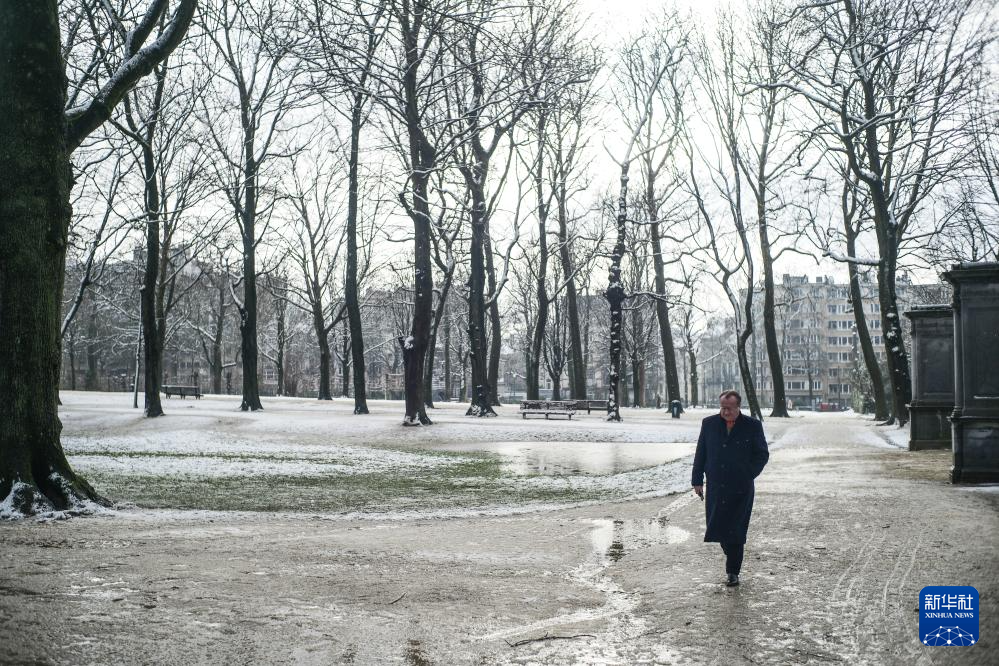 比利时布鲁塞尔迎来降雪