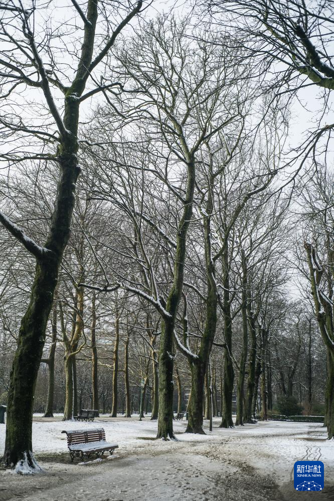 比利时布鲁塞尔迎来降雪