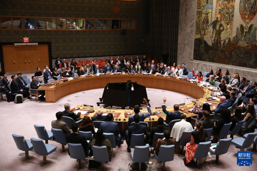 美国再次在联合国安理会否决加沙停火决议草案