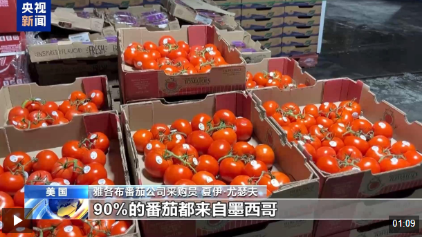 鸡蛋涨完牛肉涨 后面番茄也要涨 关税就这样“砸”了美国人餐桌
